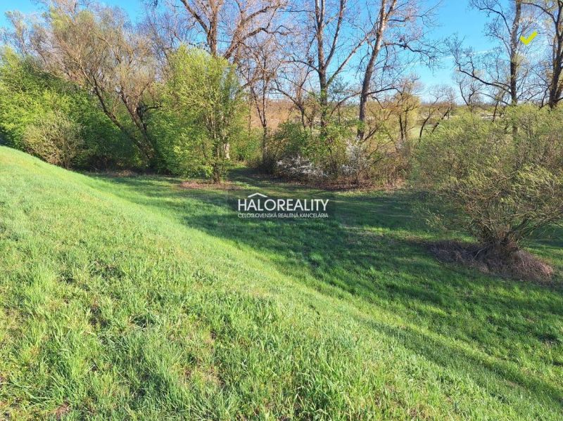 Plots - housing in Záhorce surrounded by greenery and trees, ideal for relaxation.