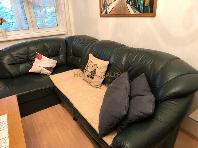 Leather sofa with cushions and wooden floor decor in a 3-room apartment.