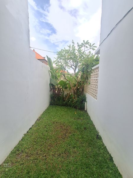 A small garden between white walls in a villa in Bali.