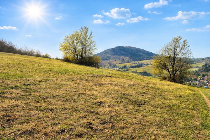 Sunlit agricultural and forest lands in Kotrčiná Lúčka under a blue sky.