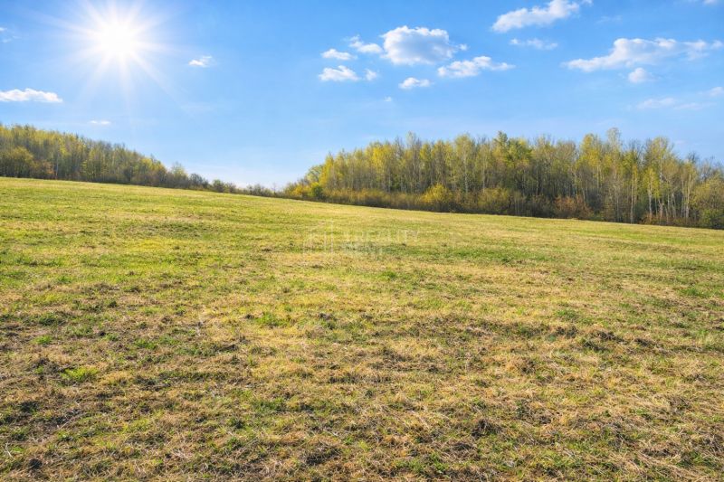 A sunny day on agricultural and forest land in Kotrčina Lúčka, surrounded by forest.