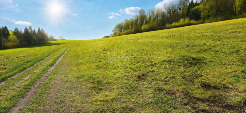 Sunny meadow on agricultural and forest land in Kotrčiná Lúčka.