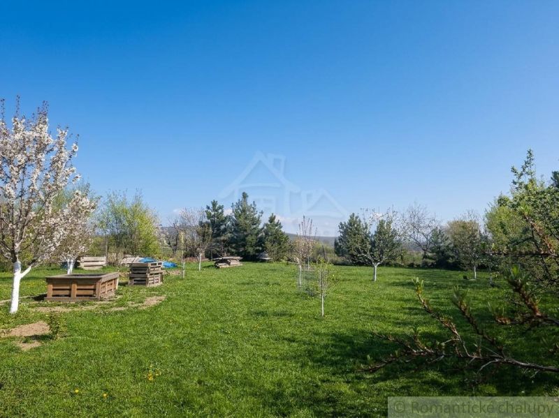 The garden of the family house in Lupoč with fruit trees on the green lawn.