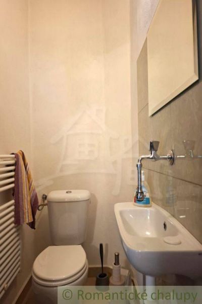 Bathroom in a family house with a toilet, sink, and mirror.