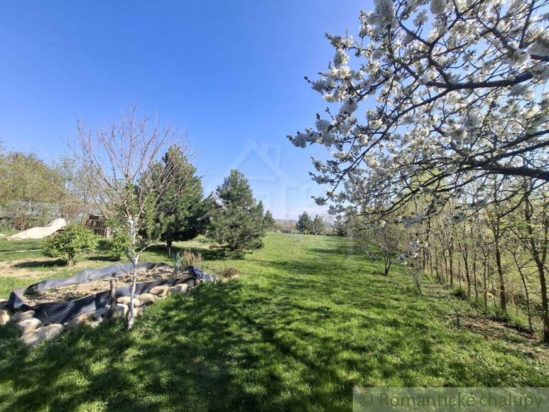 The garden of a family house in Lupoč with blooming trees and a grassy area.