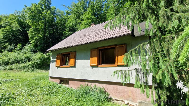 A cottage with a green surrounding in Moravany nad Váhom on Striebornica Street, surrounded by forest.
