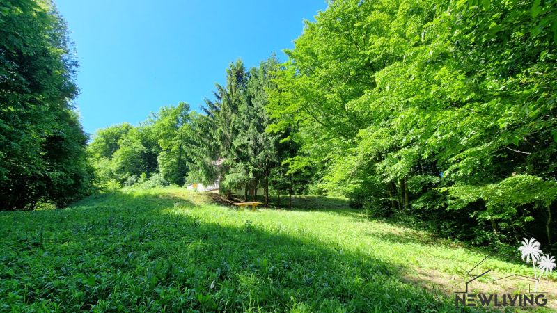 A cabin in the woods among the trees at Striebornica in Moravany nad Váhom.