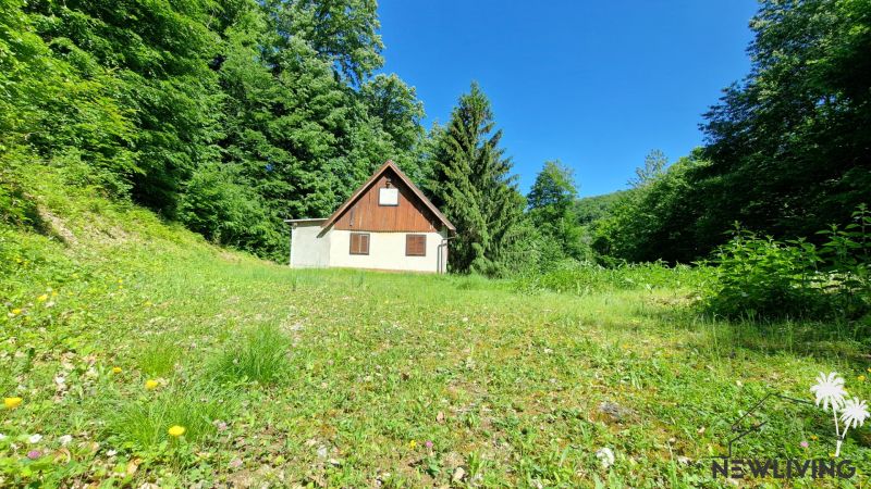 A cottage surrounded by greenery on Striebornica Street in Moravany nad Váhom.