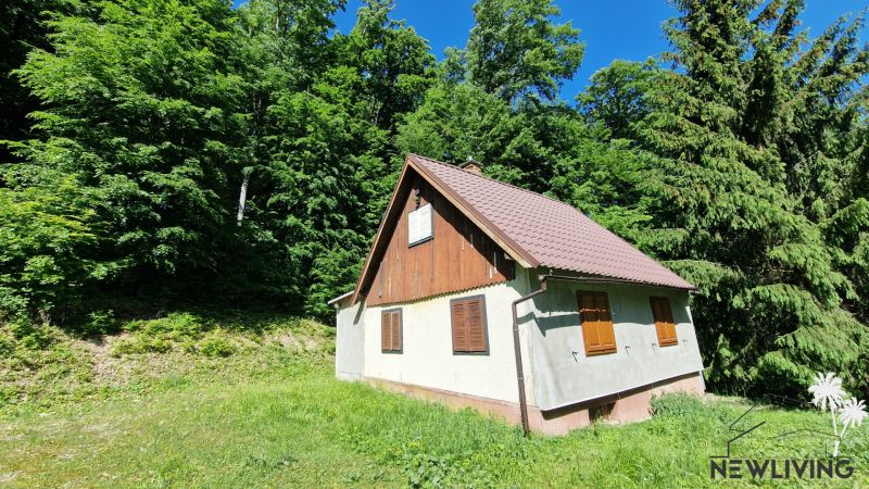 A cottage in Moravany nad Váhom at Striebornica, surrounded by forests under the blue sky.