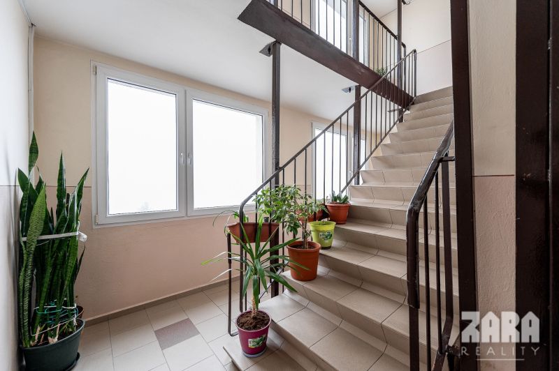 A staircase with flower pots in a 2-room apartment, natural light through large windows.