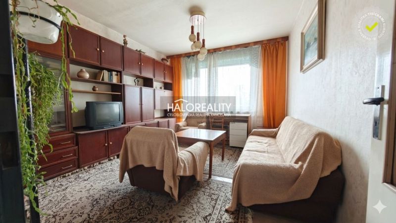 Living room in a four-room apartment with furniture, a television, a sofa, and flowers.
