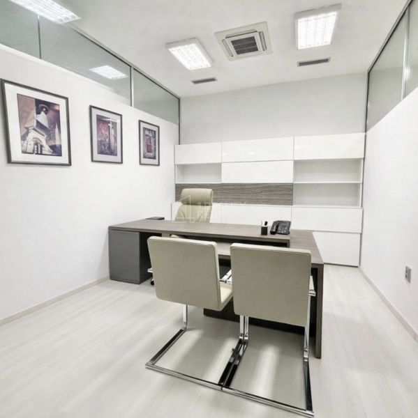 Offices with wood-patterned flooring, elegant furniture, and wall paintings.