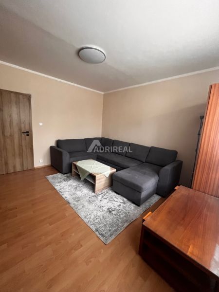 Living room in a two-room apartment with a wooden decor floor, dark sofa, and carpet.