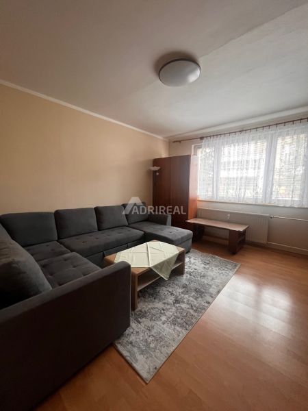 Living room in a 2-room apartment with a wooden decor floor and gray furniture.