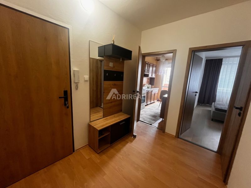 Interior of a 2-room apartment with a wooden decor floor, a mirror, and two rooms.
