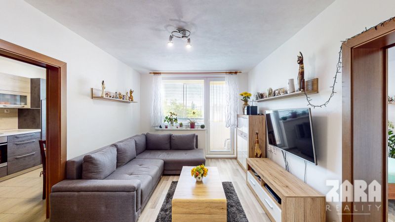 Living room in a 3-room apartment with a wooden decor floor and a gray sofa.