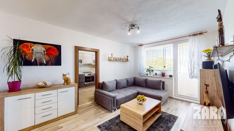 Living room in a 3-room apartment with a sofa, elephant decor, and wooden-patterned flooring.