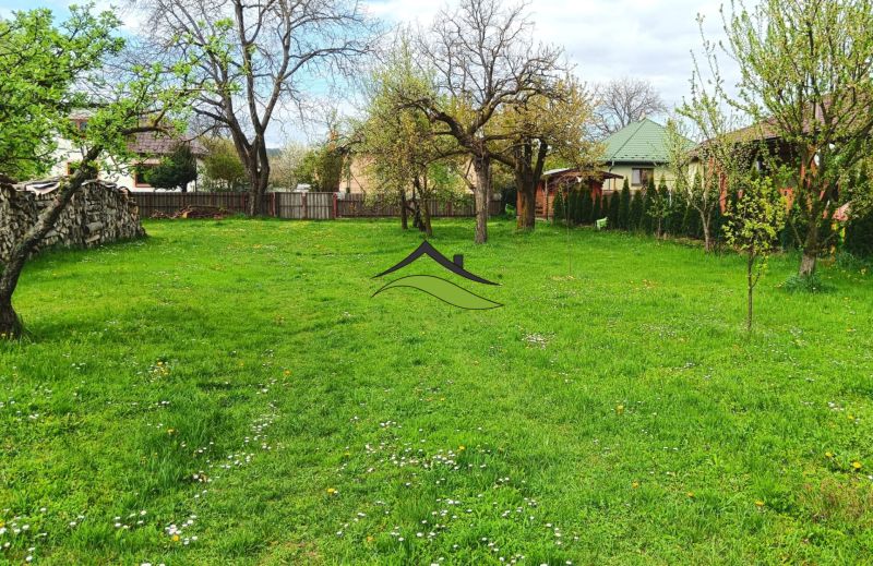 Greenery and fruit trees on a plot suitable for living in Strážske.