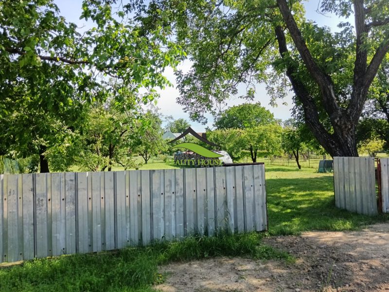 Greenery surrounding the properties - living in Strážske with a metal fence and trees.