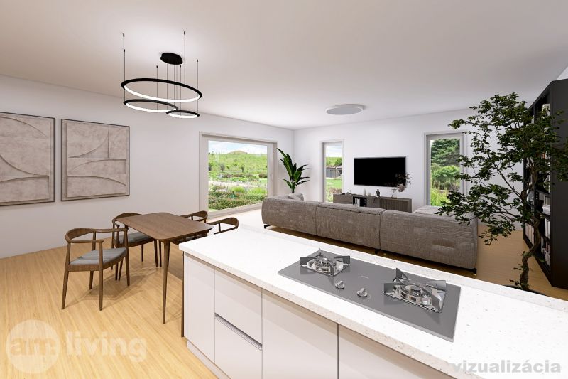 Interior with kitchen and living area, floor with wood decor, family house.