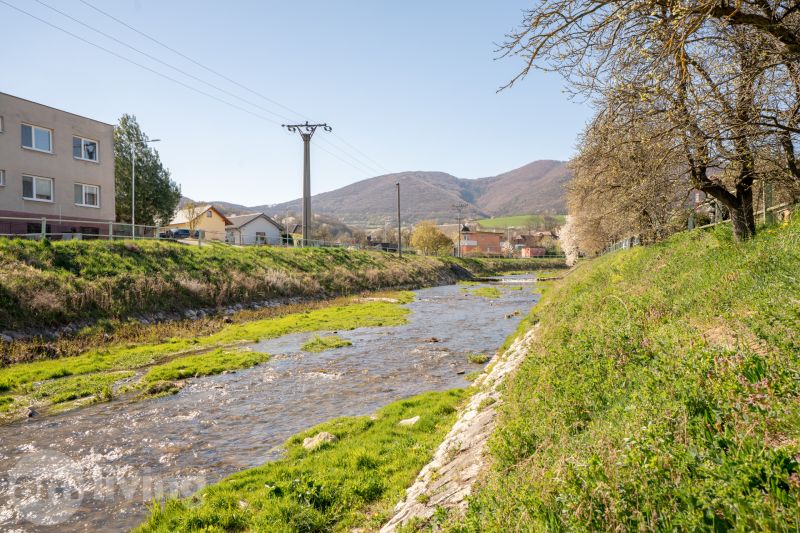 A river flowing through Drietoma past family houses with a mountain backdrop.