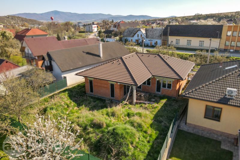 A family house in Drietoma with a garden, surrounded by other houses and nature in the background.
