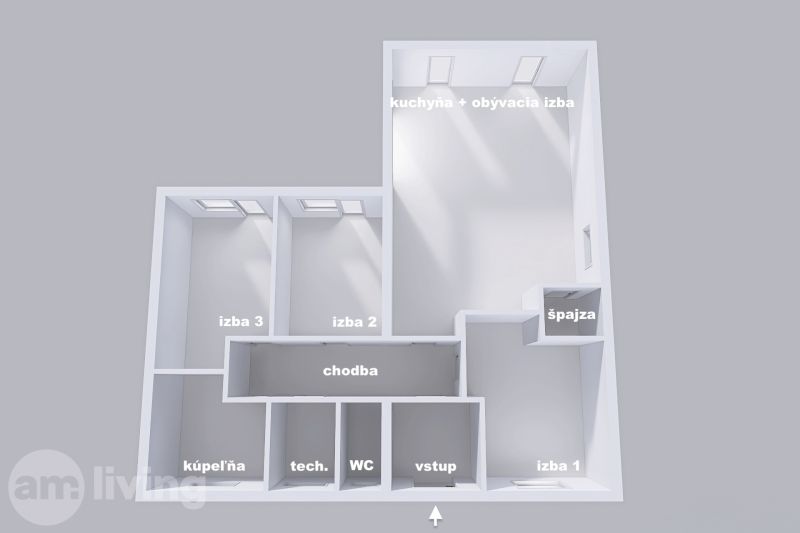Floor plan of a family house with room division: kitchen, hallway, bathroom, and rooms.