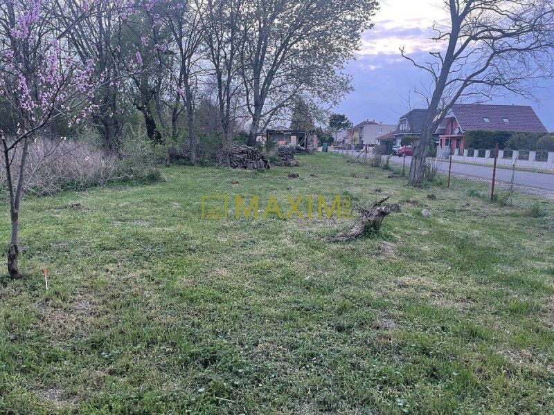 Residential plots in Slovenská Nová Ves with blossoming trees and an adjacent road.