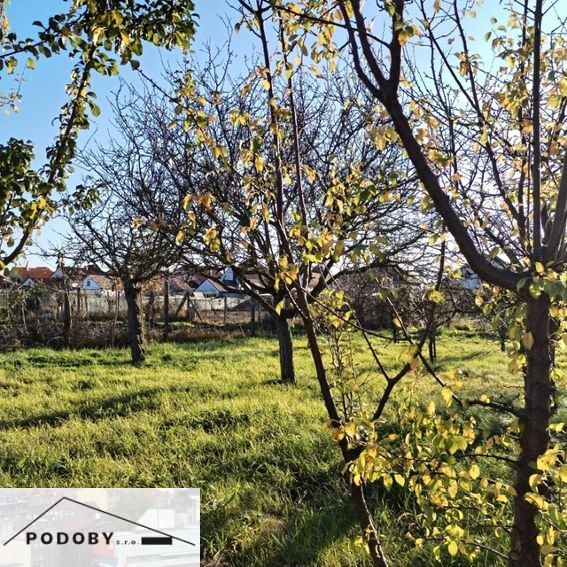 Garden in a family house in Veľké Úľany with fruit trees and grass.