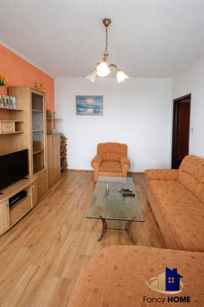 Living room in a two-room apartment with a sofa, coffee table, and wooden decor flooring.