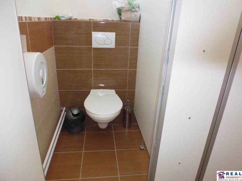 A toilet with a wall-hung bowl and tiles in commercial premises.