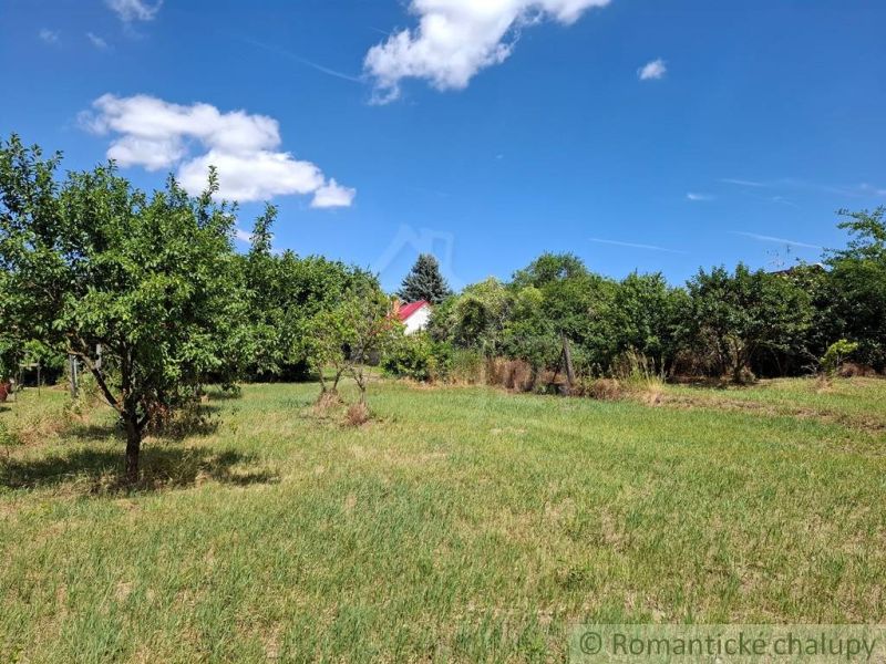 Gardens in Moča with fruit trees under a blue sky with white clouds.