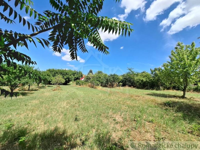 Gardens in Moča with green trees and a blue sky with clouds.