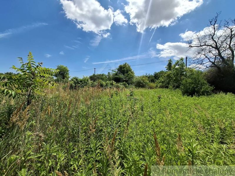 Gardens in Moča with dense greenery under a blue sky with clouds.
