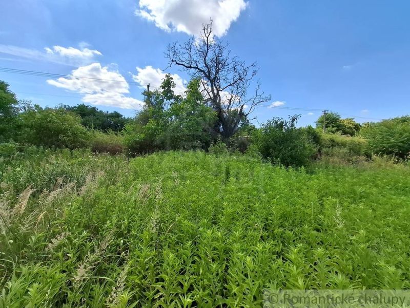 Plants and trees surround the gardens in Moča under a blue sky with clouds.