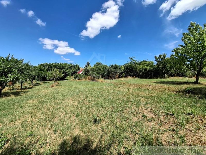 Expansive gardens in Moča with a lawn, surrounded by trees under a clear sky.
