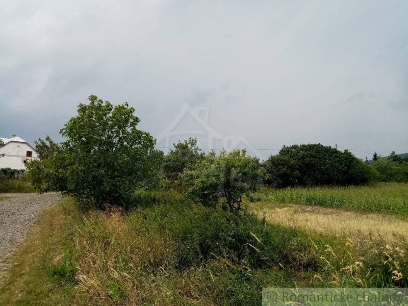 Agricultural and forest lands in Smilno surrounded by green shrubs and field crops.