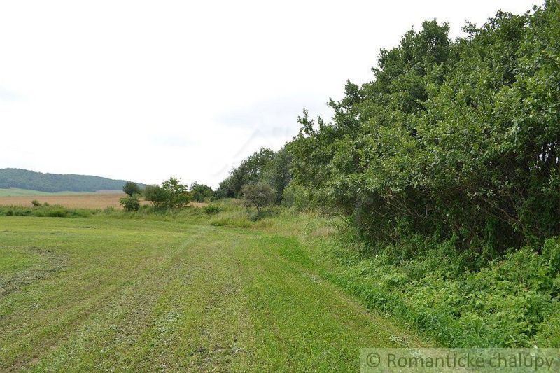 Greenery, grassy surface, agricultural and forest lands in Smilno, hills in the distance.