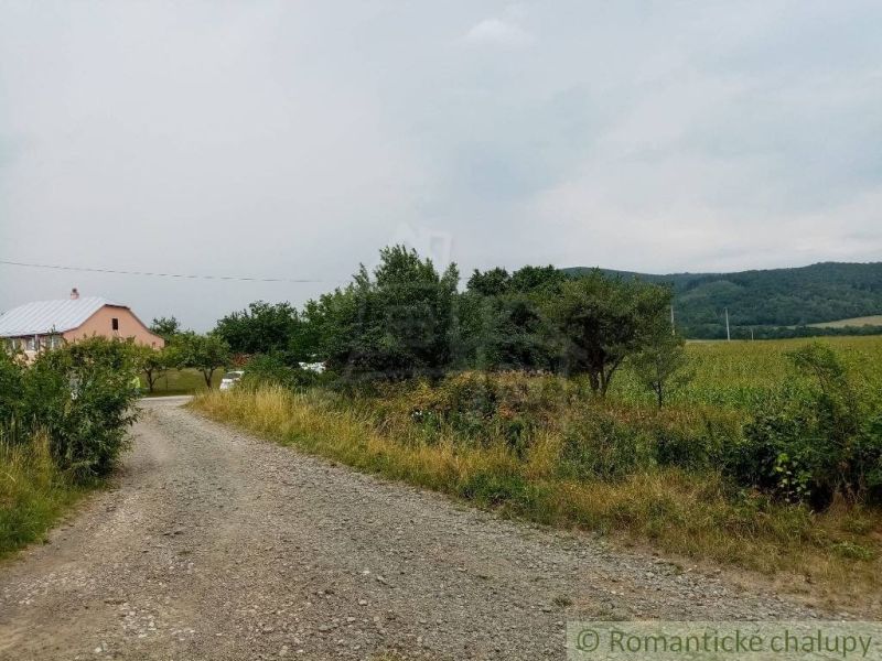 Agricultural and forest land in Smilno with a road and a house on the edge of the forest.