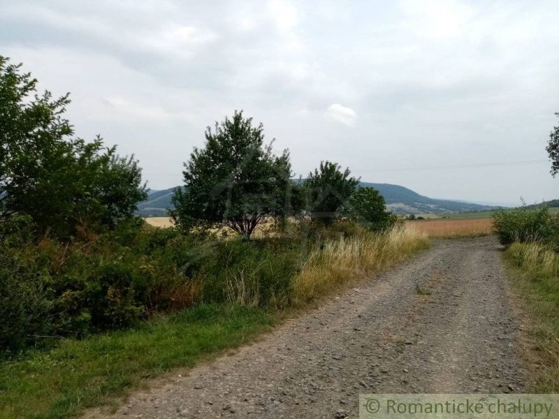 Agricultural and forest land in Smilno with a field road and surrounding nature.