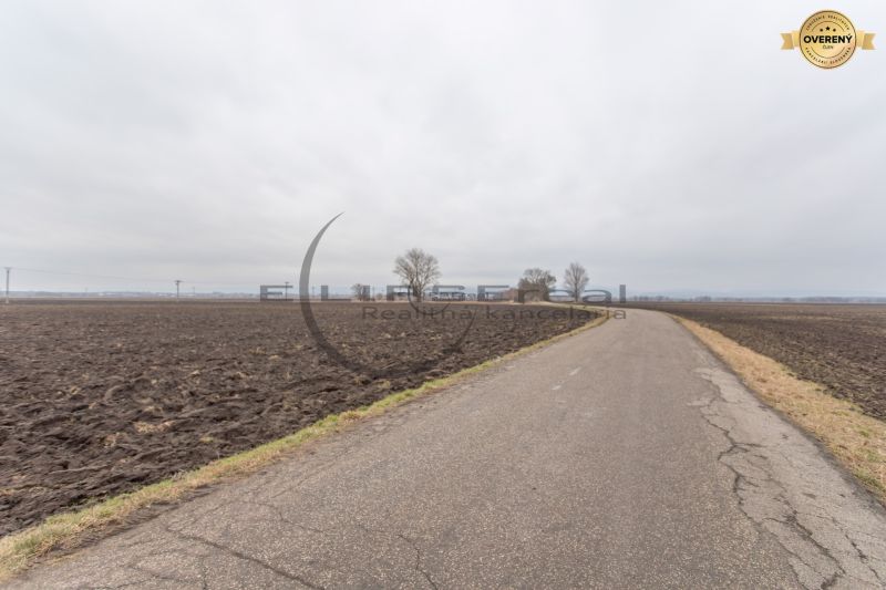 An asphalt road runs through agricultural and forest land in Zohor on Dolná.