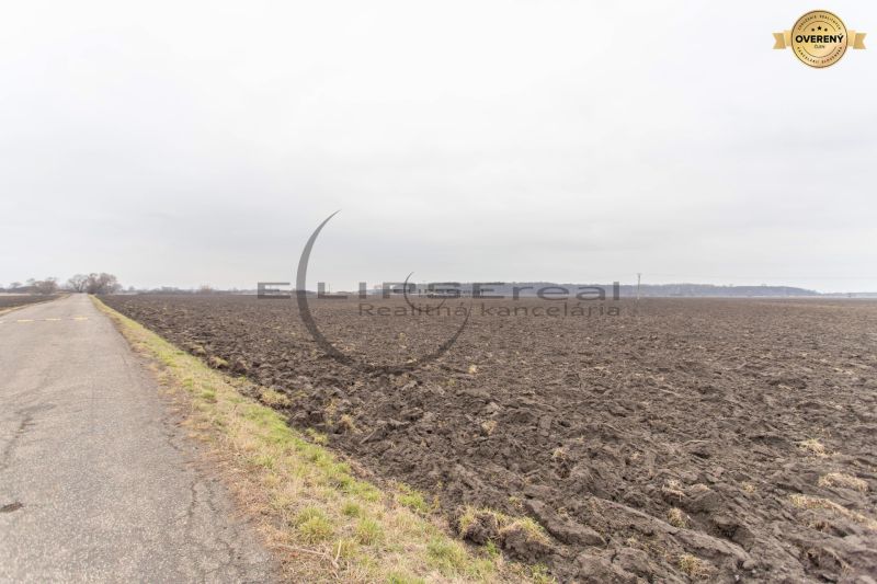 Arable land on Dolná Street in Zohor, agricultural and forest land, next to the road.
