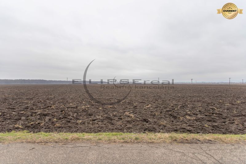 Agricultural and forest land in Zohor on Dolná Street, ready for cultivation.
