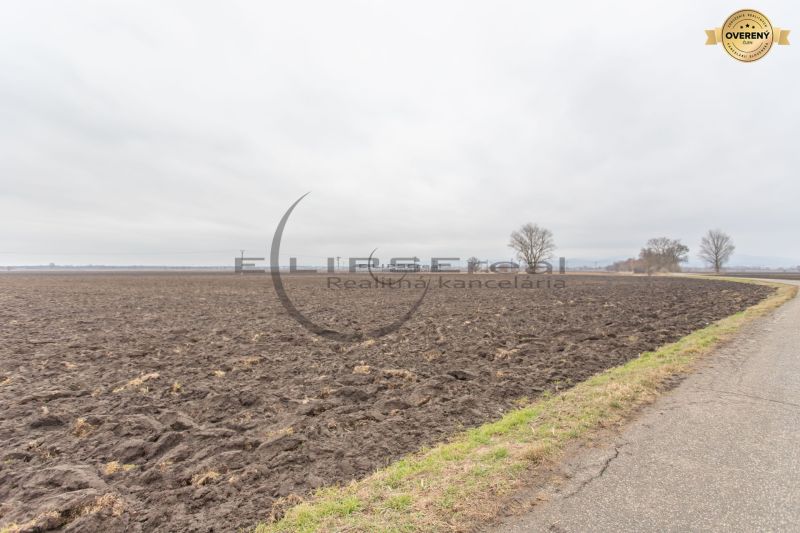 Arable land near Dolná Street in Zohor, suitable for agricultural and forest plots.