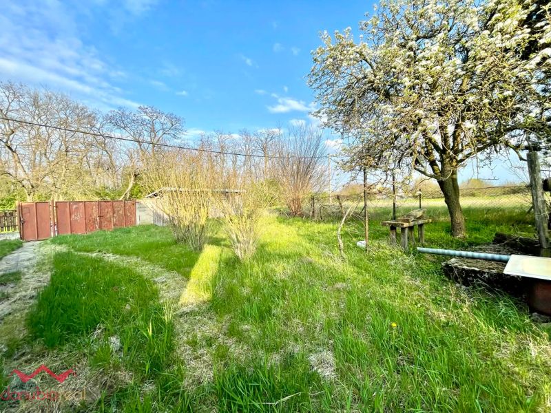 The garden of a family house in Dulovce with a lawn, deciduous trees, and a metal gate.