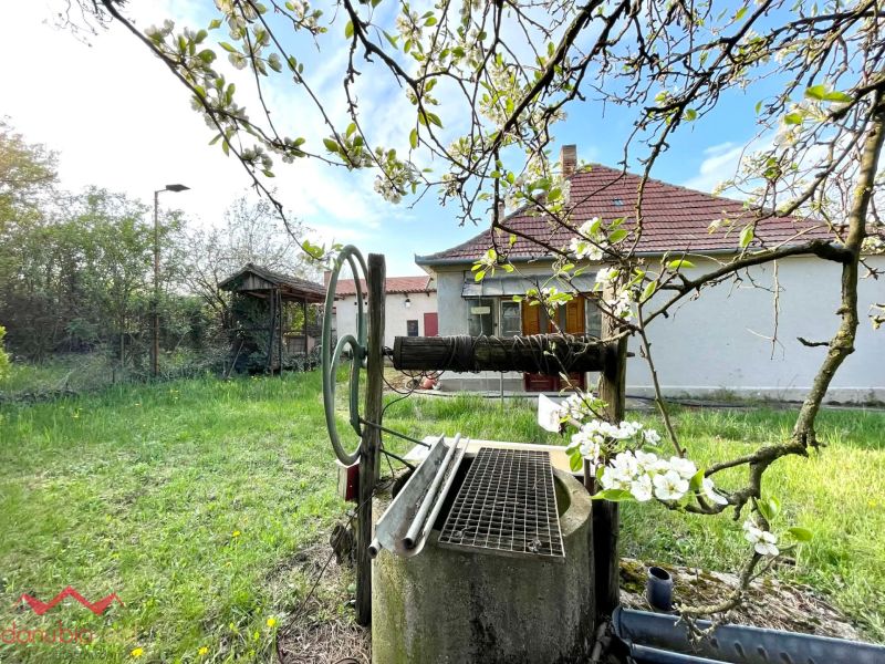 A garden at a family house in Dulovce with a blooming tree and a well.