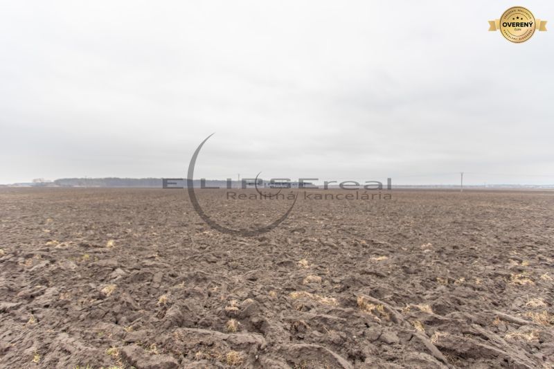 Arable land on agricultural and forest plots, Dolná Street, Zohor, under a cloudy sky.