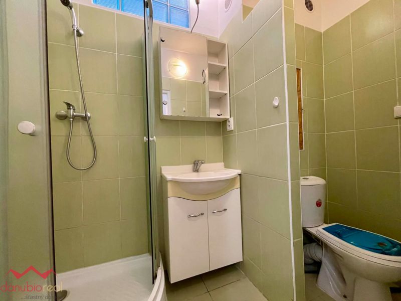 A bathroom in a studio apartment with a shower, sink, and toilet.
