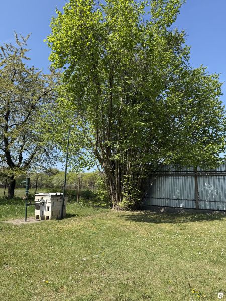 A residential plot in Trenčín on Biskupická Street with trees and a lawn.
