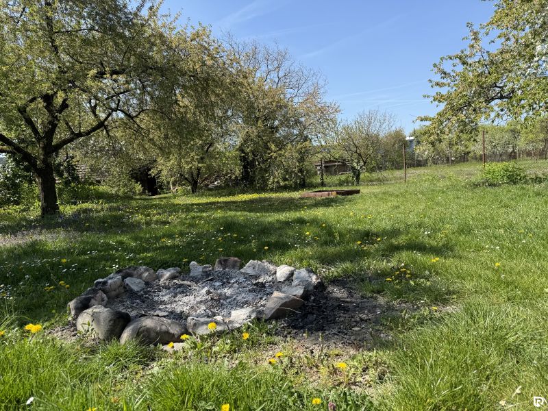 A grassy plot with a fire pit and trees on Biskupická Street in Trenčín for living.